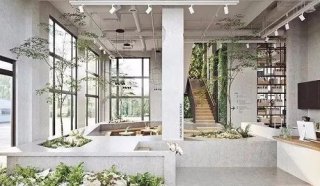 室内园林景观设计效果图片 室内植物小景景观绿化效果图